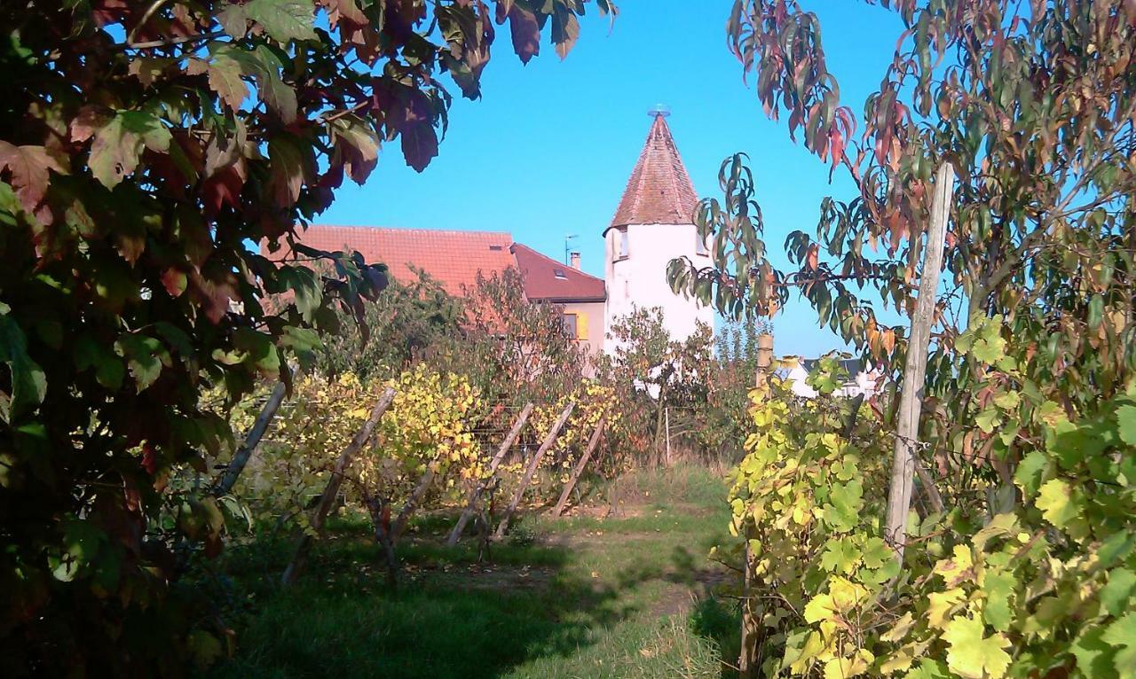 Les Gites De La Tour, Appartement "La Plaine" Saint-Hippolyte  Exterior photo